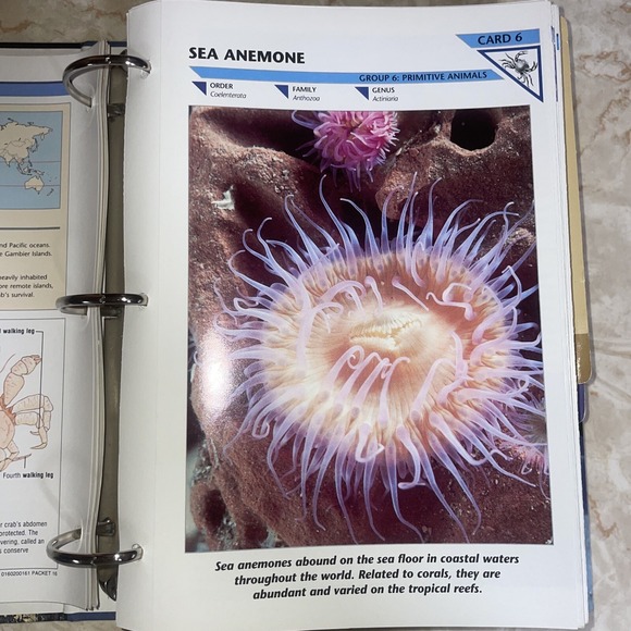 wildlife fact file Sections 6-11, Roughly 350 Cards - Picture 13 of 15